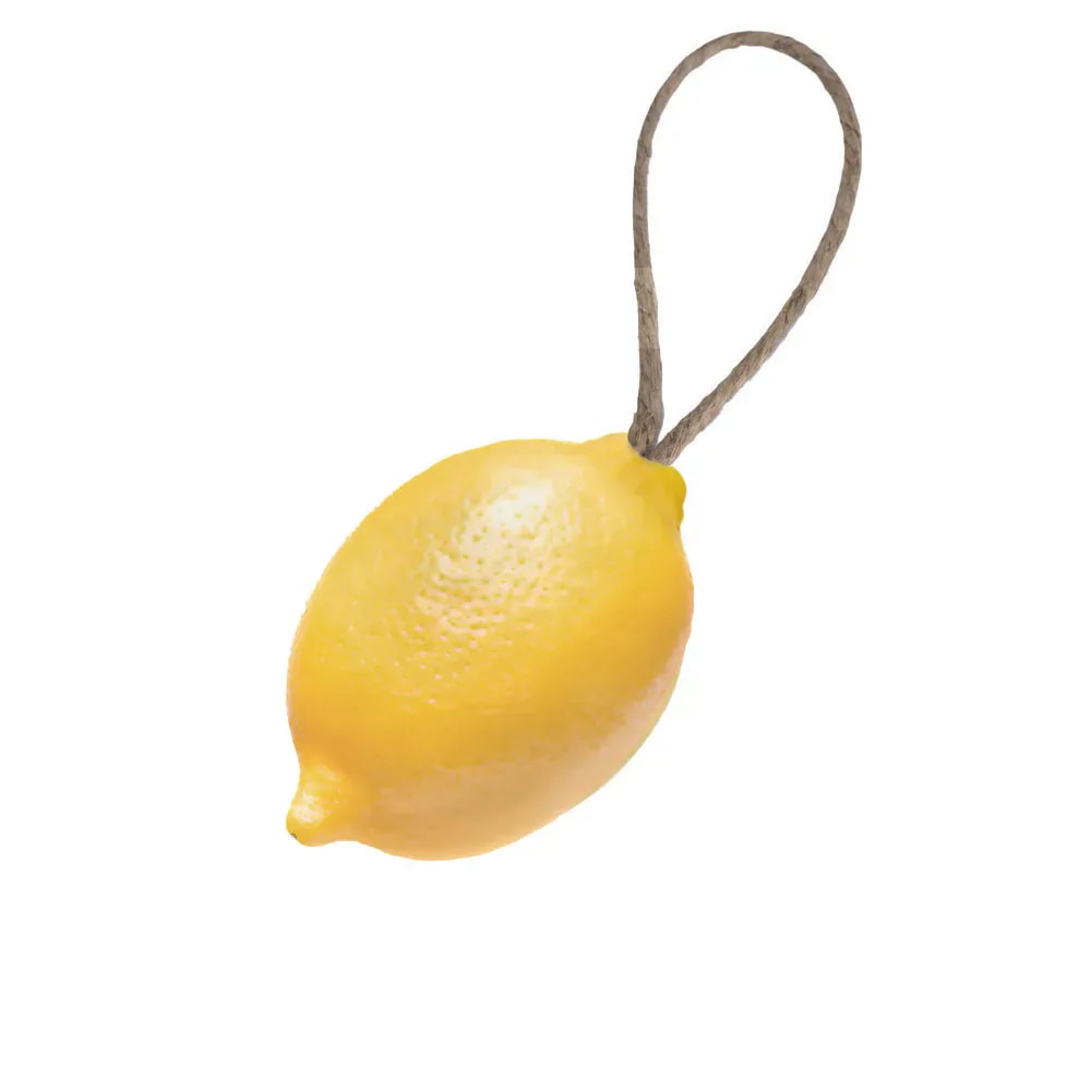 MAITRE SAVONITTO Muilas su virvele "Citron" 120 g